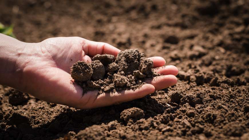 Советы для огородников: как быстро очистить испачканные землей руки
