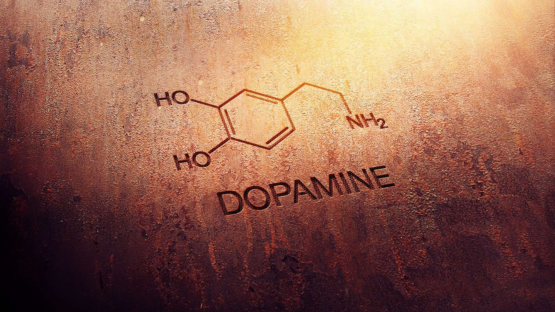 Dopamine Reward in the Organization
