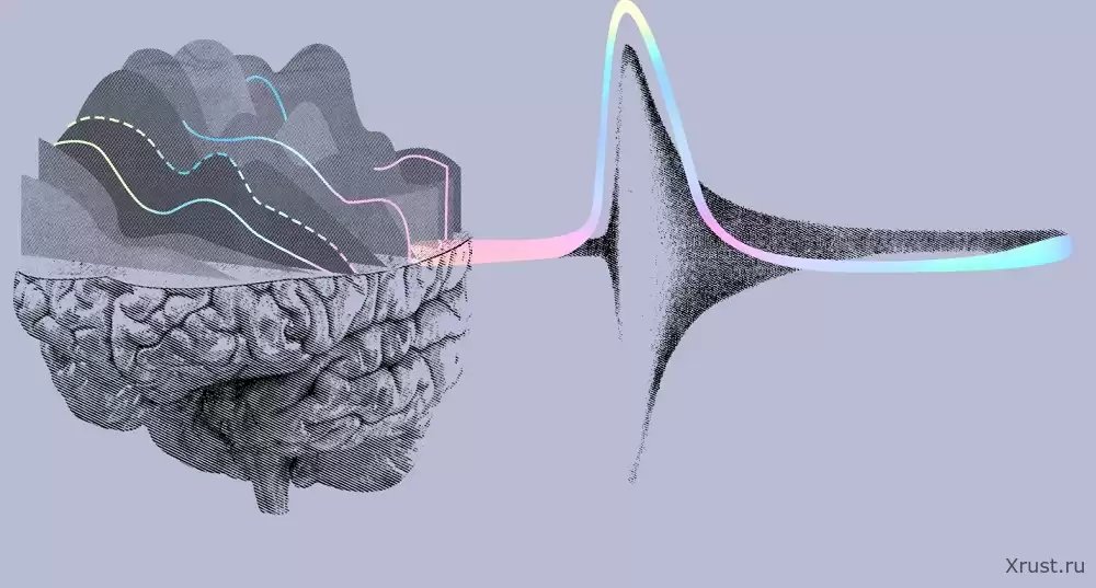 Neuralink начала клинические испытания чипов, вживляемых в мозг