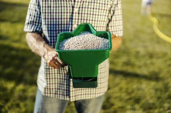 Удобрения для газона: чем подкормить газон весной, летом и осенью