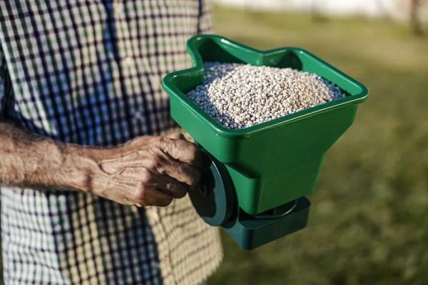 Удобрения для газона: чем подкормить газон весной, летом и осенью