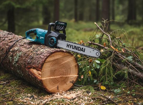 Рейтинг цепных электропил с подробным описанием