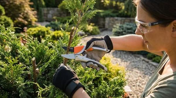 Секаторы: особенности устройства с храповым механизмом