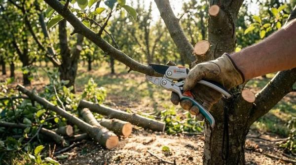 Секаторы: особенности устройства с храповым механизмом