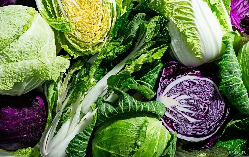 Cabbage &ndash; how best to cook it