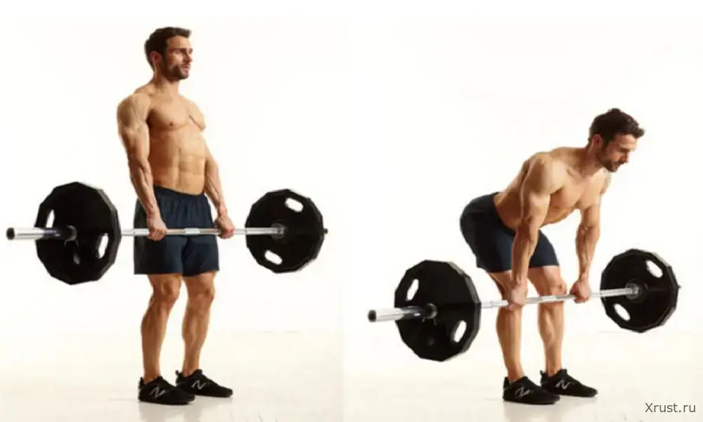 A man without an ass &ndash; there is no sadder sight in the world