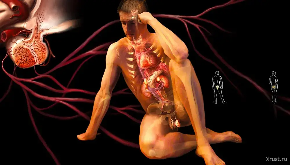 Men and sexual problems: causes and treatment