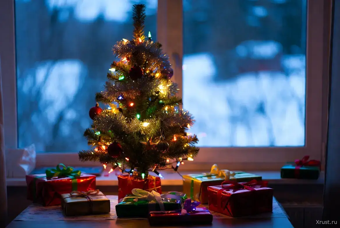 New Year 2026: we greet with gratitude and hope